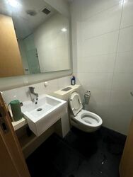 Lumiere (D2), Apartment #467170961